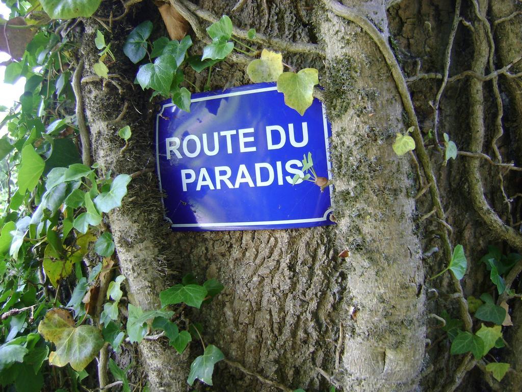 Gite Les Mineurs Zottegem Екстер'єр фото